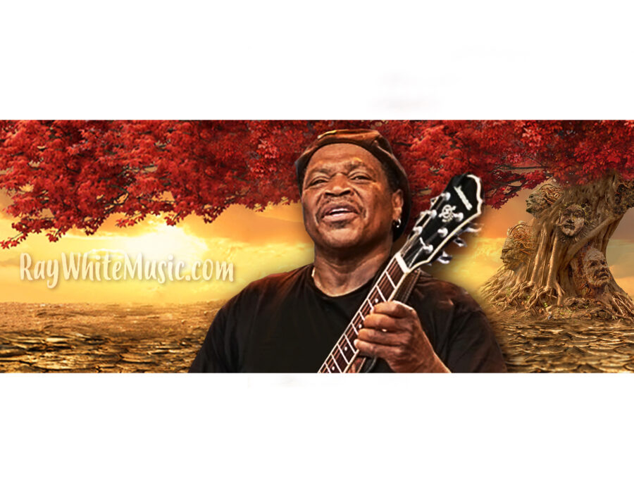 RAY WHITE SITE BANNER
