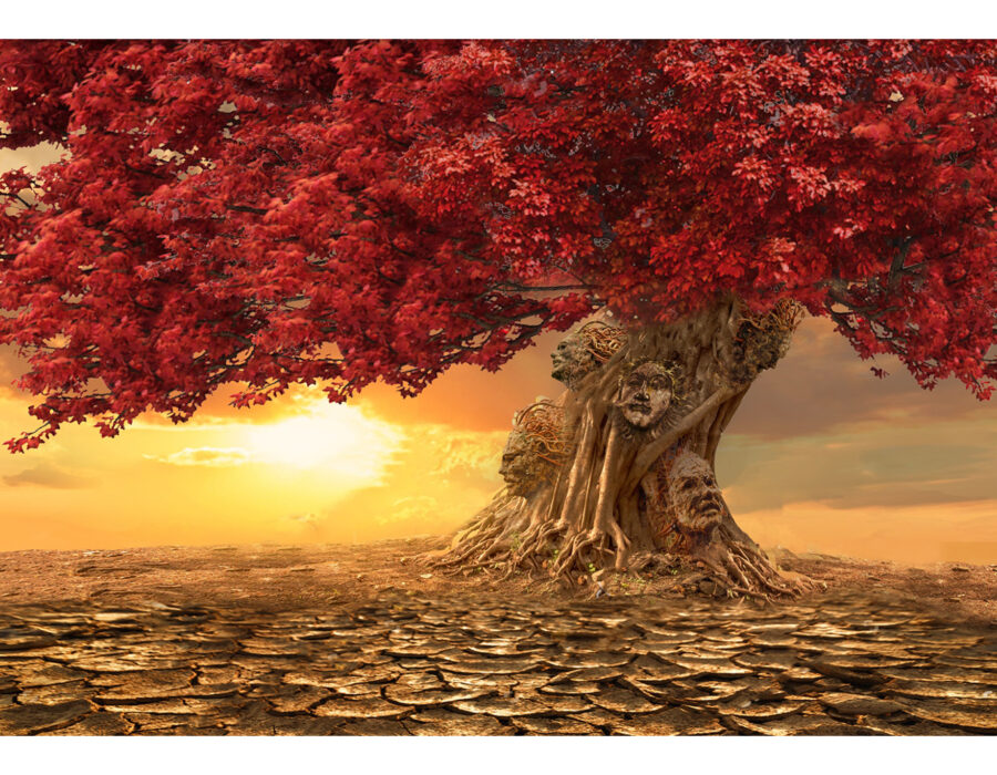 RAY WHITE SITE BANNER